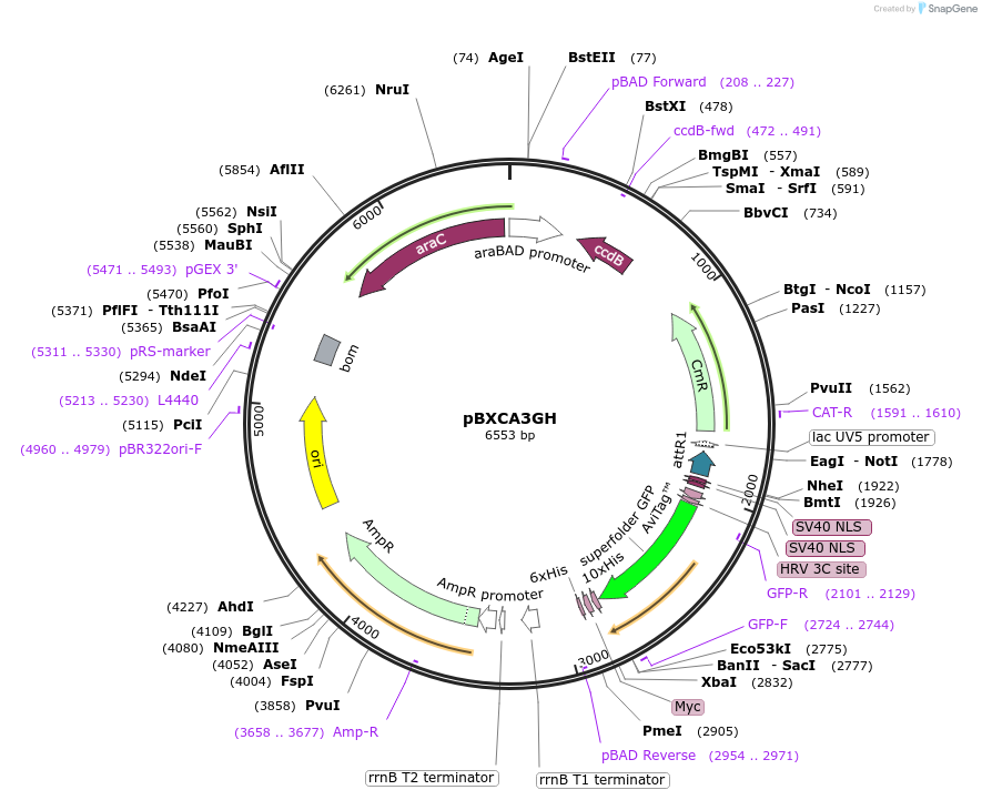 67097_map