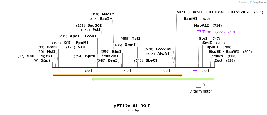 67109_map