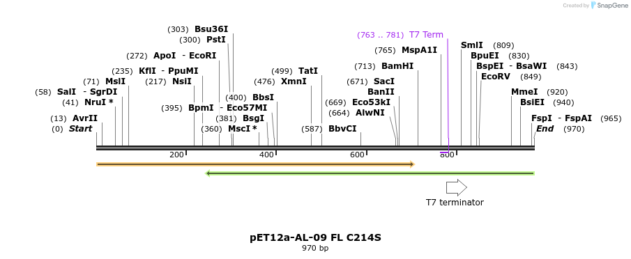 67114_map
