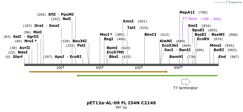 67116_map