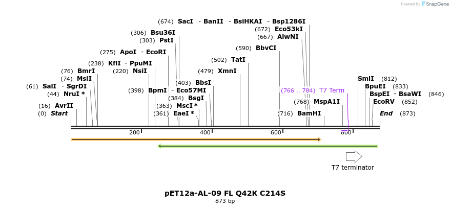 67117_map