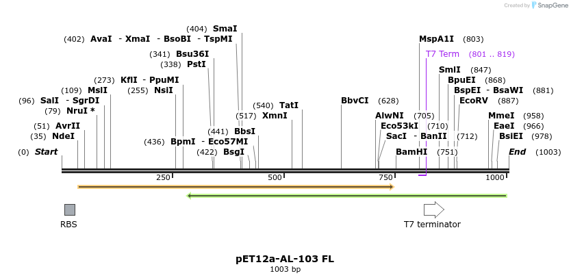 67118_map