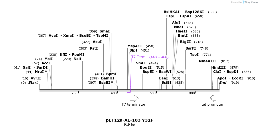 67119_map