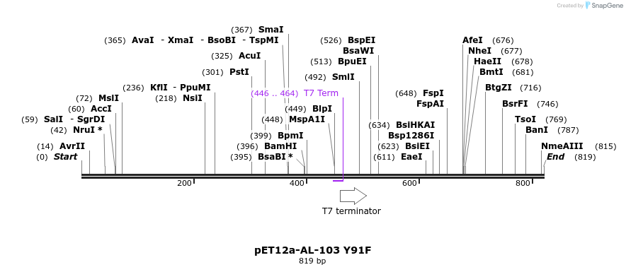 67121_map