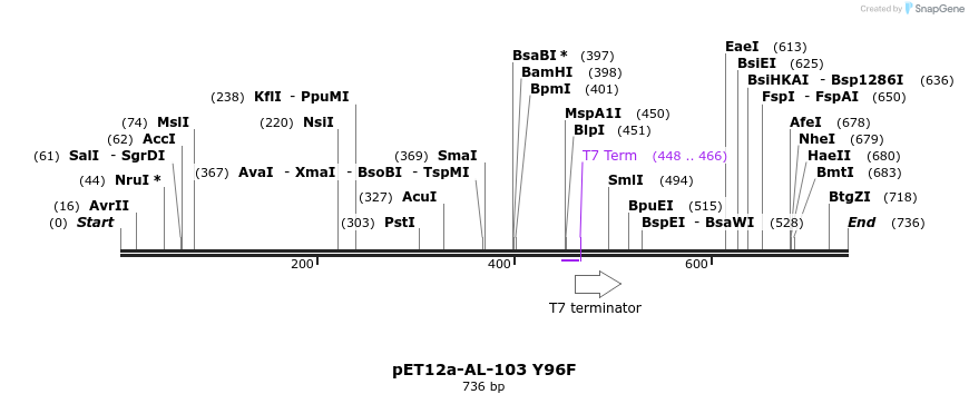67122_map