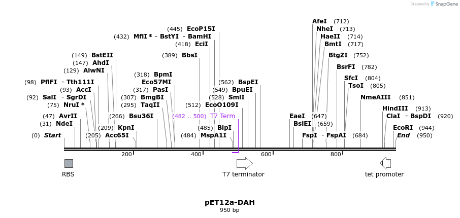 67124_map