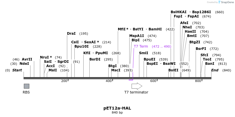 67125_map