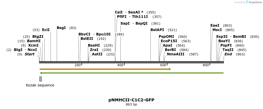 67128_map