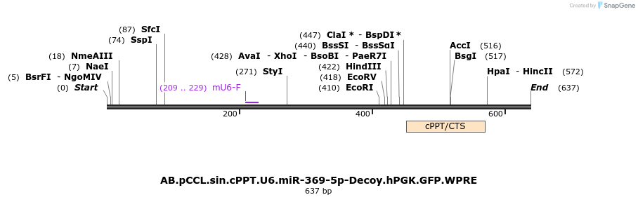 67133_map