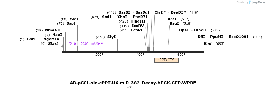 67134_map
