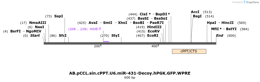 67136_map
