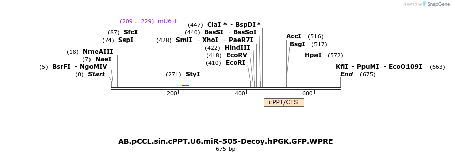 67139_map