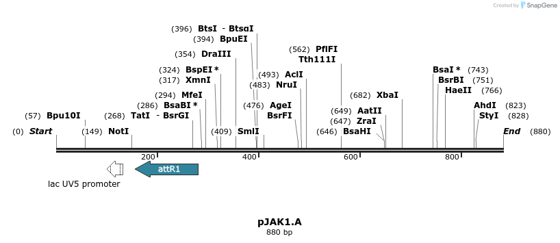 67144_map