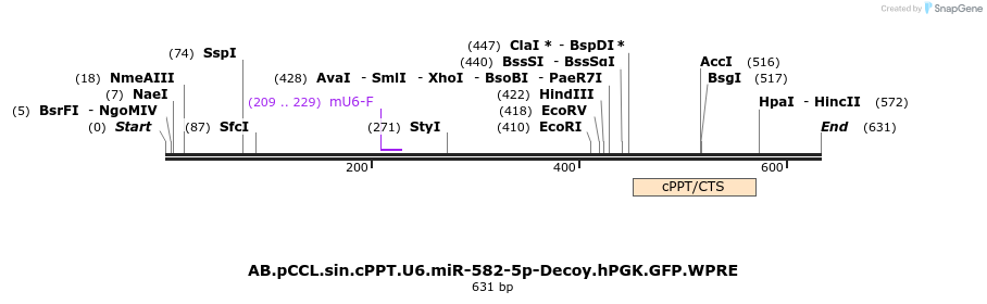 67147_map