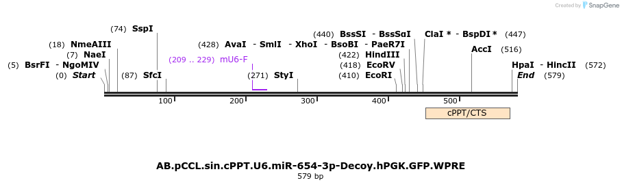 67148_map