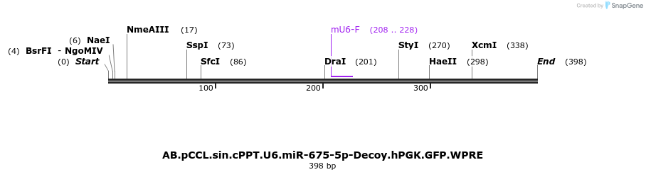 67150_map