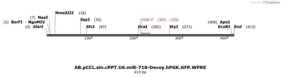 67151_map