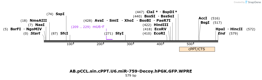 67152_map