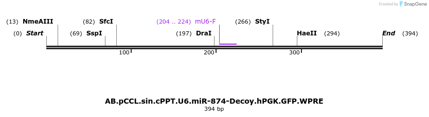 67155_map