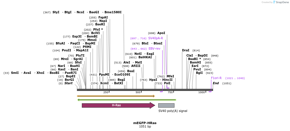 67159_map