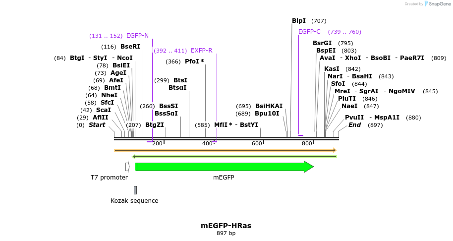67160_map