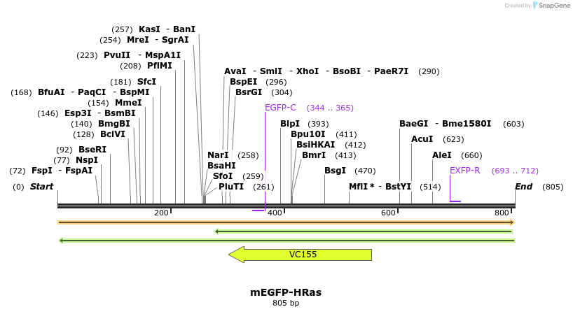 67161_map