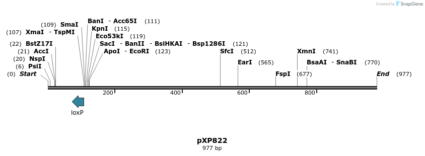 67163_map