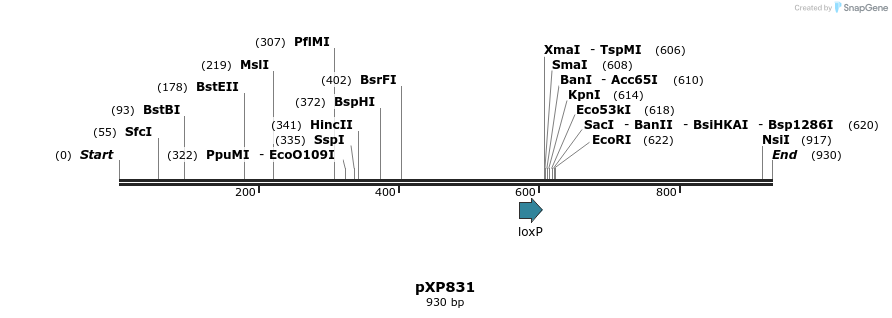 67164_map