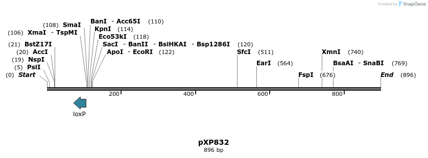 67165_map