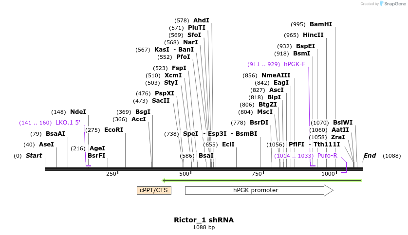 67168_map