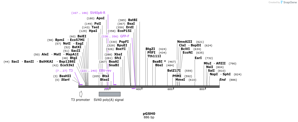 67170_map