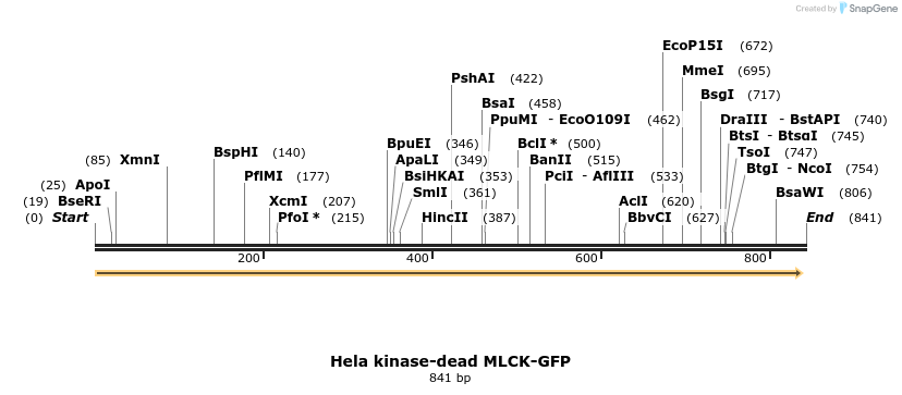 67171_map