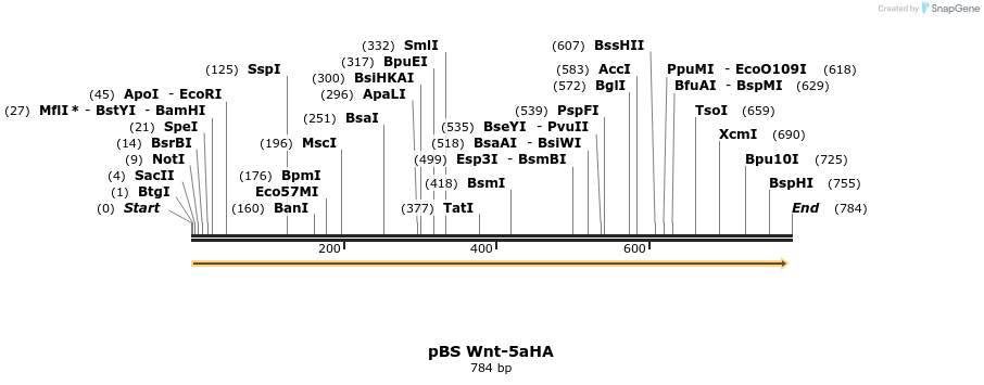 67173_map