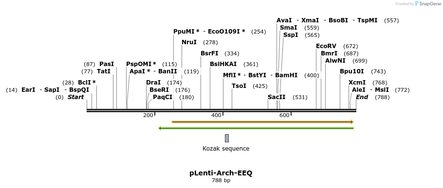 67178_map