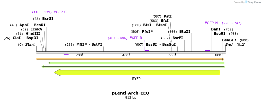 67180_map