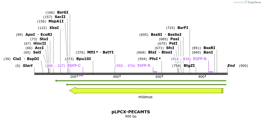 67182_map