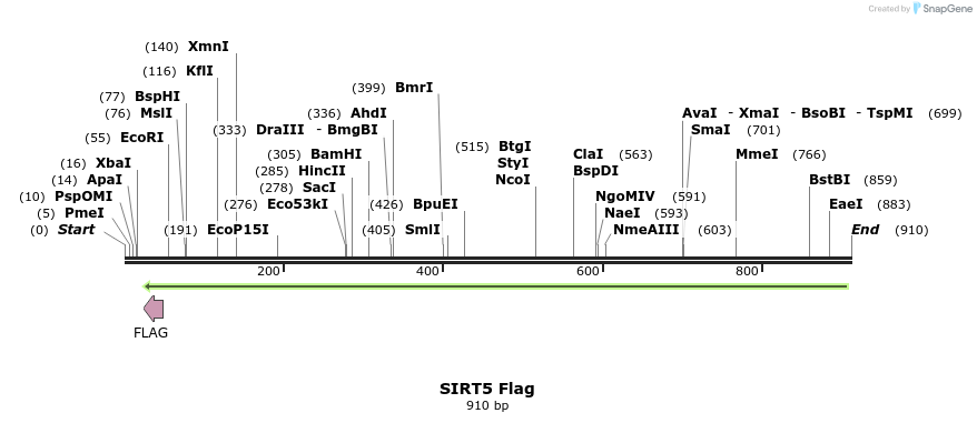 67188_map