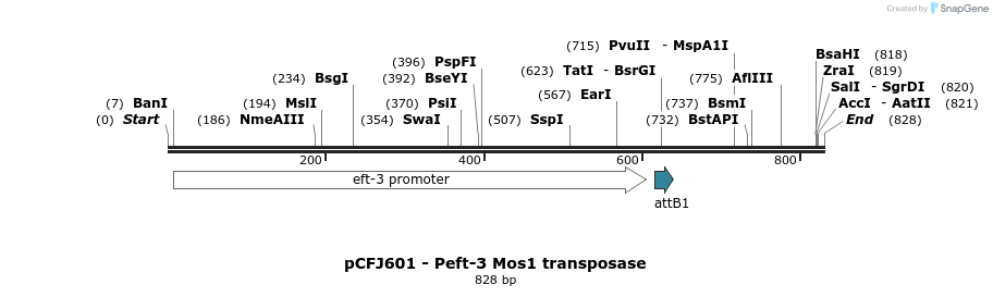 67192_map