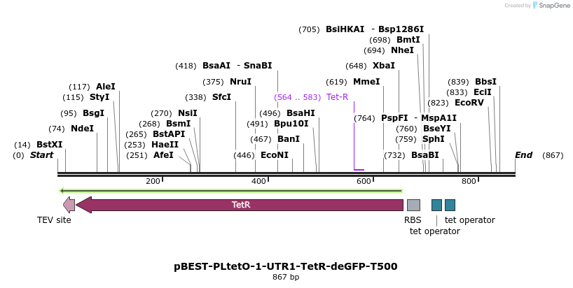 67194_map