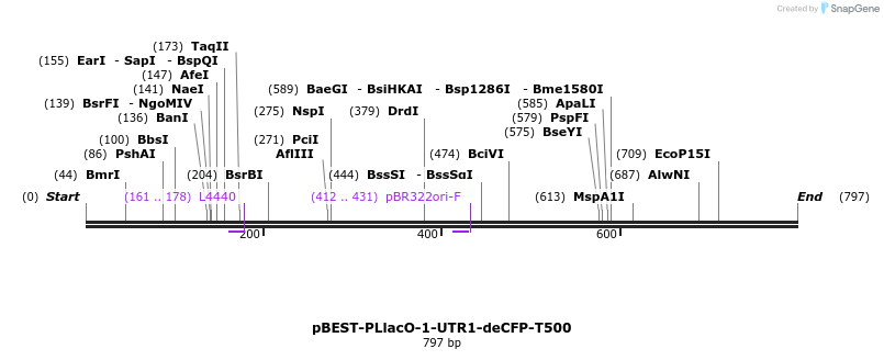 67195_map