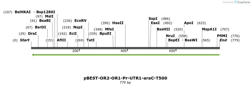 67199_map