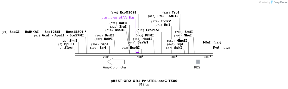 67200_map