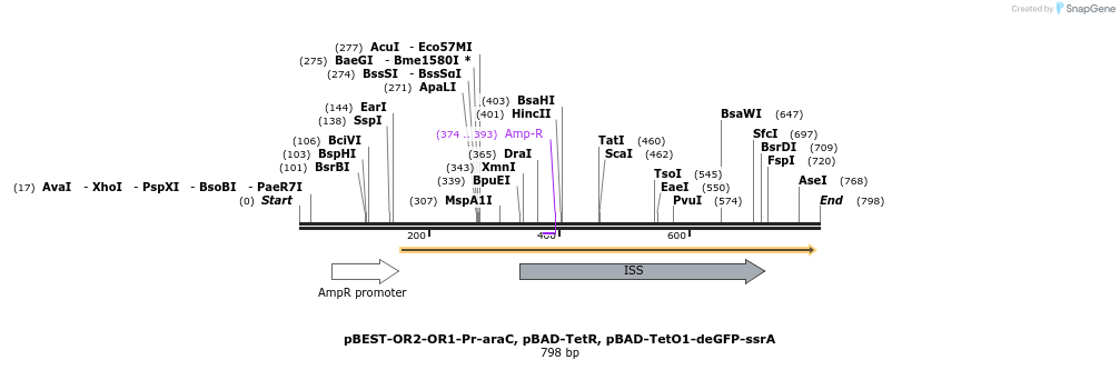 67201_map