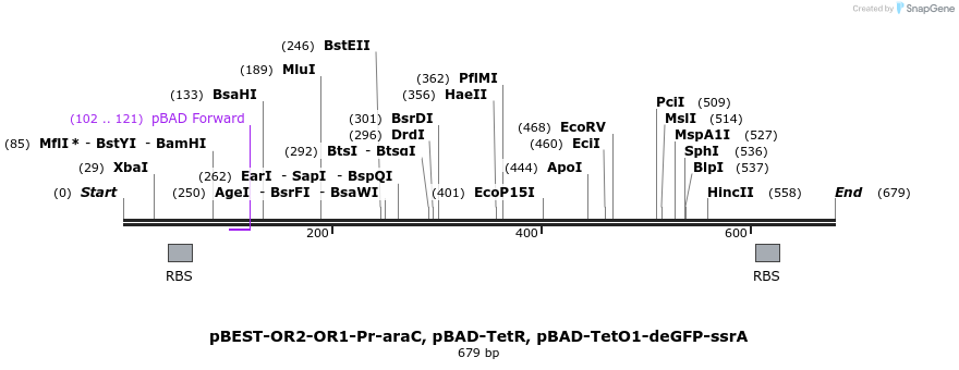 67202_map