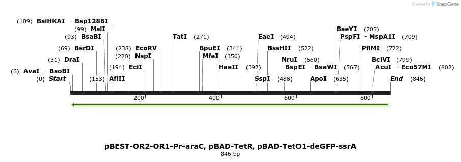 67203_map