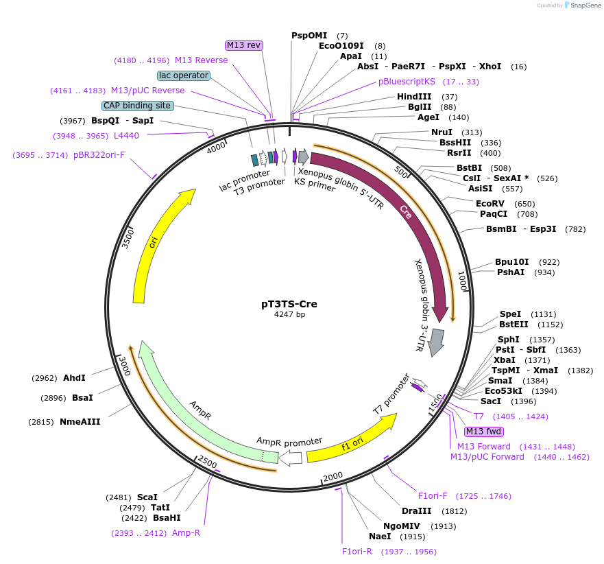 67204_map