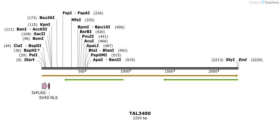 67206_map