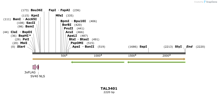 67207_map