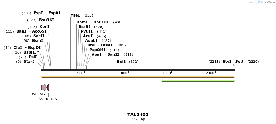 67209_map