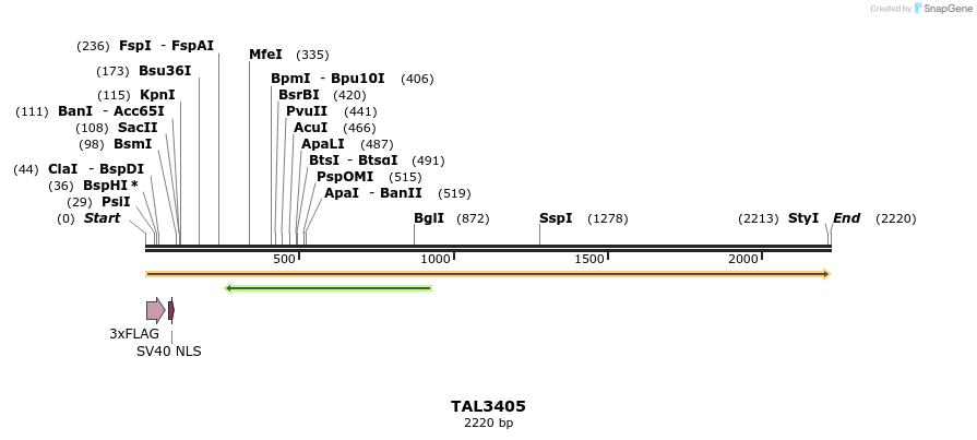 67211_map